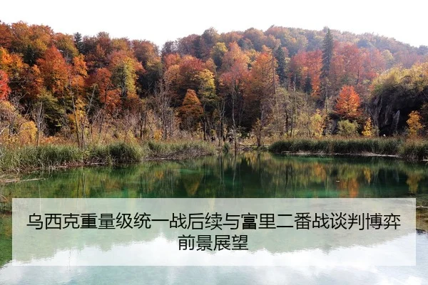 乌西克重量级统一战后续与富里二番战谈判博弈前景展望